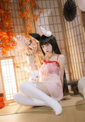 成年视频免费_DVD免费观看